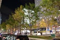 Autumn-foliage special feature, maples with temple in japan