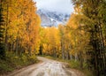 The Scenic Beauty of the Colorado Rocky Mountains - Autumn Scene