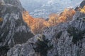 Autumn colored beech forest growing on the vertical limestone slopes of a mountain