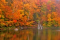 Autumn colored fall leaves reflected in Beaver Pond Royalty Free Stock Photo