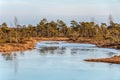 Autumn colored flora of winter peat bog and its reflection in swamp frozen lake, sunny day with blue sky Royalty Free Stock Photo
