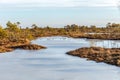 Autumn colored flora of winter peat bog and its reflection in swamp frozen lake, sunny day with blue sky Royalty Free Stock Photo