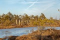 Autumn colored flora of winter peat bog and its reflection in swamp frozen lake, sunny day with blue sky Royalty Free Stock Photo