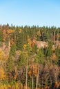 Autumn colored forest with a cliff Royalty Free Stock Photo