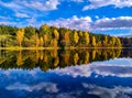 Autumn colored forest and its reflection in water with a blue cloudy sky. yellow and orange trees, green pine. Scenery Royalty Free Stock Photo