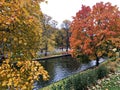 Autumn colored leaves on trees on the banks of the city canal in Riga. Latvia. November 10, 2018 Royalty Free Stock Photo