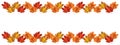 Autumn colored leaves. Vector autumnal banner II.