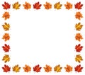 Autumn colored leaves. Vector autumnal frame.