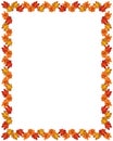 Autumn colored leaves. Vector vertical autumnal frame II.