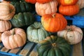 Colored Pumkins season in fall. Pumkins harvest on a farm. Country Life. Royalty Free Stock Photo