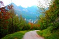 Scene at Eremo di Soffiano near Sarnano in the Sibillini Mountains with autumn trees, gravel path