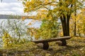 autumn colored tree leaves background pattern in sunny park with