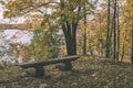 autumn colored tree leaves background pattern in sunny park with