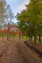 Autumn colored trees and dry leaves on the ground