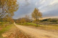 Autumn colored trees line the dirt road Royalty Free Stock Photo