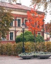 Autumn colored trees in orange and yellow next to an old street lamp and building in city center of Lund Sweden