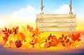 Autumn colorful background. Happy Thanksgiving holiday card with fresh vegetables and colorful autumn leaves Royalty Free Stock Photo