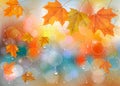 Autumn colorful background with leaves and raindrops