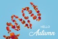 Autumn colorful background made of swirling leaves and sliced dried pumpkin with  hello autumn message Royalty Free Stock Photo