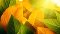 Autumn colorful bright leaves, closeup, fall backdrop, natural abstract background