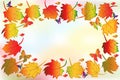 Autumn colorful fall leaf greetings card holidays celebrations Royalty Free Stock Photo