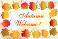 Autumn colorful fall leafs greetings card holidays celebrations