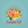 Autumn colorful fall leaves with pumpkin greetings card holidays celebrations