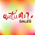 Autumn colorful fall leaves colorful season greetings card holidays celebrations banner template vector image Royalty Free Stock Photo