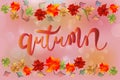 Autumn colorful fall leafs colorful season greetings card holidays celebrations banner template vector image Royalty Free Stock Photo