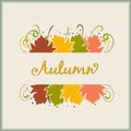 Autumn colorful fall leafs colorful season greetings card holidays celebrations logo design vector image