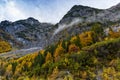 Autumn colorful fall trees high mountains scenery in the Alps. Austria, Tyrol