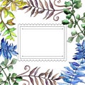 Autumn colorful fern leaves. Leaf plant botanical garden floral foliage. Frame border ornament square. Royalty Free Stock Photo