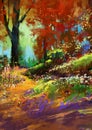 Autumn colorful forest Royalty Free Stock Photo