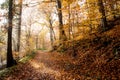 Rheinsteig Hiking trail Autumn colors Siebengebirge Germany Royalty Free Stock Photo