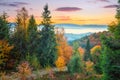 Autumn colorful forest in Mountains before sunrise Royalty Free Stock Photo