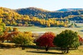 The autumn colorful grassland sunset Royalty Free Stock Photo