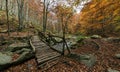 Autumn colorful landscape. Wood bridge in the forest. Royalty Free Stock Photo