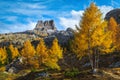 Autumn colorful larch trees and mountain peaks in background, Dolomites