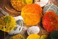 Autumn colorful leaves, background Royalty Free Stock Photo