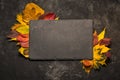 Autumn colorful leaves frame for a black slate stone on black background Royalty Free Stock Photo