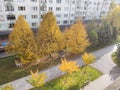 Autumn colorful leaves on the ground and on the trees. Slovakia