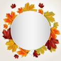 Autumn colorful leaves Royalty Free Stock Photo