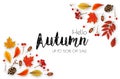 Autumn Colorful Leaves Sale Background with forest leaves