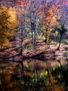 Autumn colorful misty reflexion landscape.