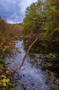 Autumn Colorful Pond