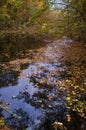 Autumn Colorful Pond