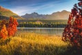 Autumn colorful scenery by lake. Red trees, yellow grass, calm gentle warm light Royalty Free Stock Photo