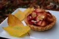 Autumn colorful tartlet with apples