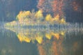 Autumn colorful Trees reflected in lake during Fall. Autumn forest photography