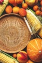Autumn colorful vegetables and fruits set: apricots, tomatoes, pumpkin, paprika, corn, etc. and empty wicker tray on rustic wooden Royalty Free Stock Photo